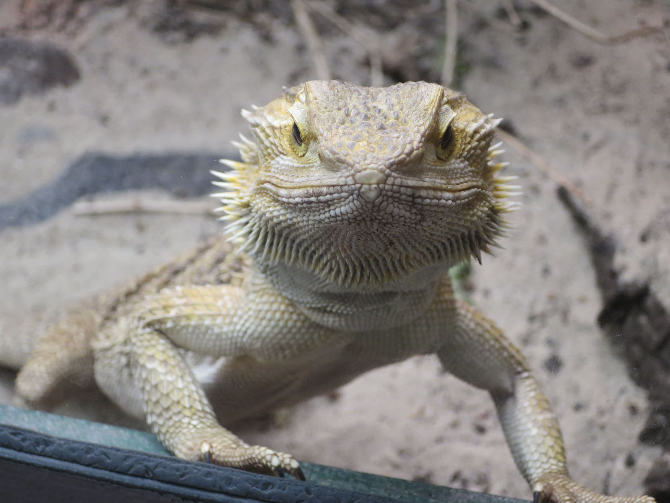 Tierpark Zoo  19